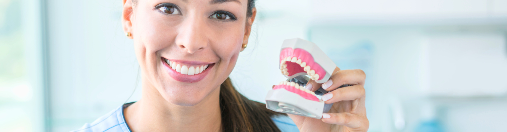 Smiling woman holding denture model.
